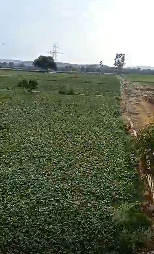 Matkuli, Narmadapuram, Madhya Pradesh 461775, India