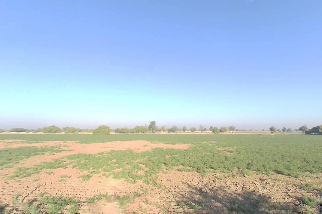 954, आम चोराया बान्डाई, बंदी, राजस्थान 306421, India