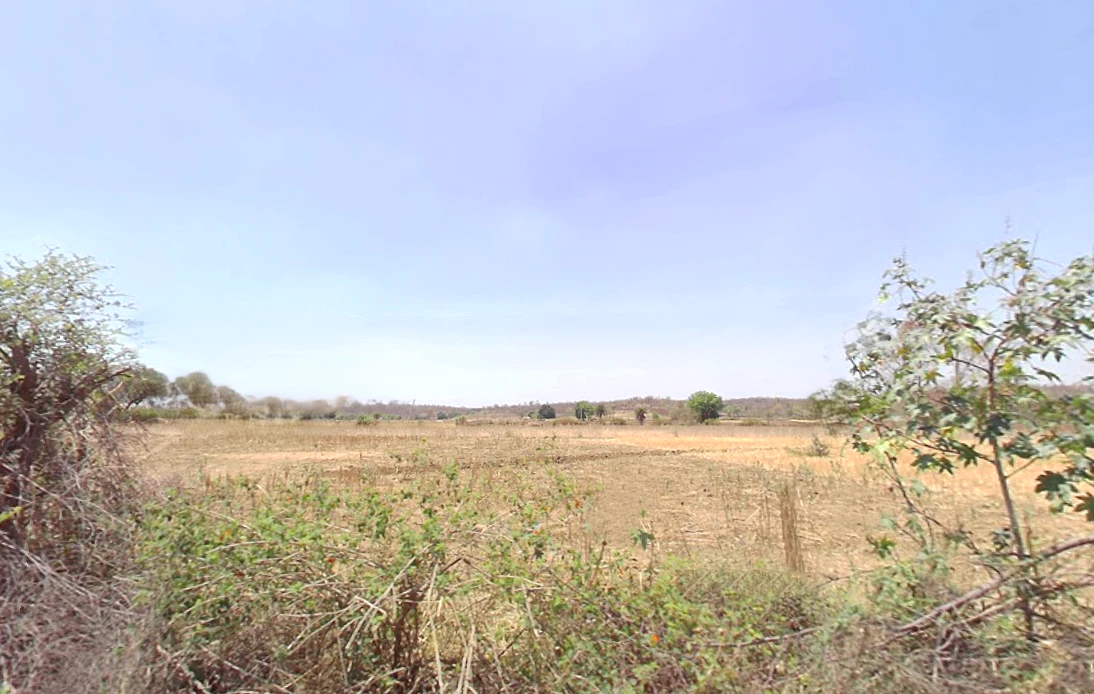 Ichhawar, Madhya Pradesh 466115, India