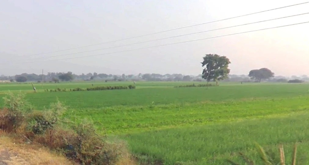 MCWP+PQ7, Baggad, Madhya Pradesh 454001, India