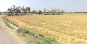 Baroda, Madhya Pradesh 476339, India preview 3