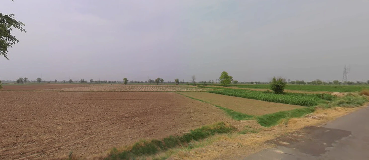 Uklana Rural, Haryana 125113, India