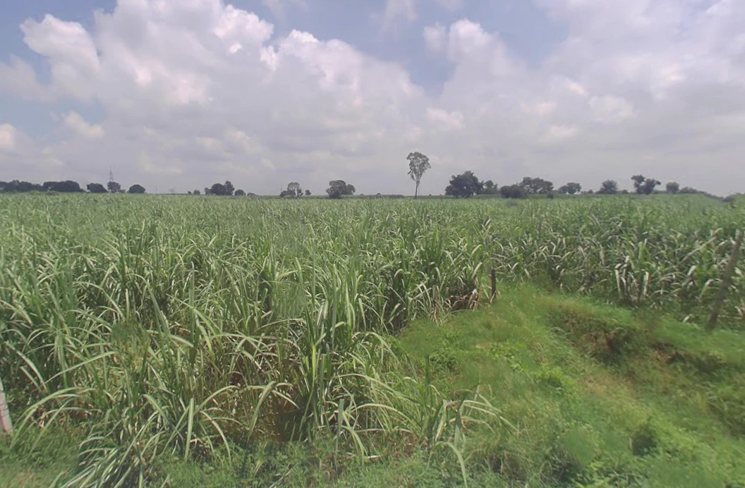 Khurja, Uttar Pradesh 203131, India