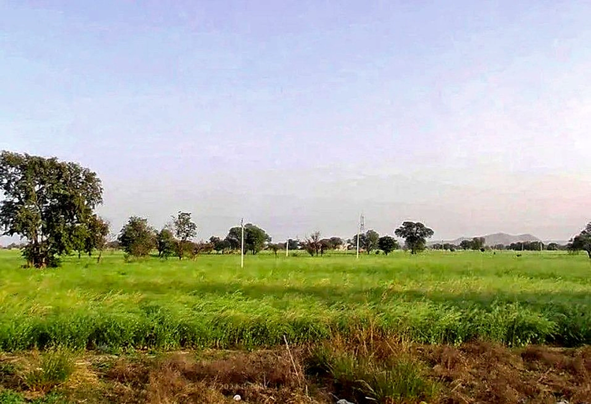 CCH8+2VQ, Khatu Shyam Ji Rd, Mandha, Madani, Rajasthan 332402, India