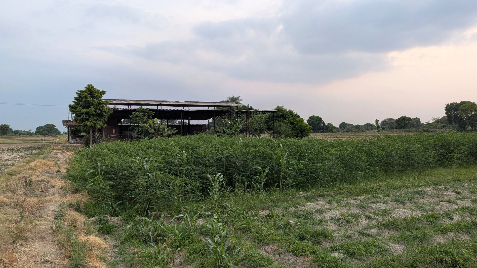 Muradganj, Uttar Pradesh 206129, India