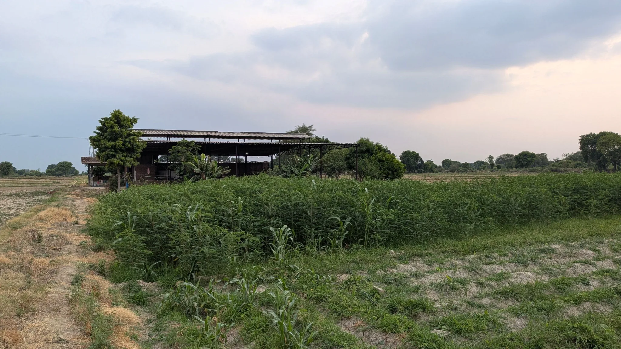 Muradganj, Uttar Pradesh 206129, India