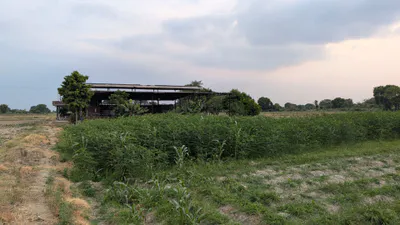 Muradganj, Uttar Pradesh 206129, India preview 4