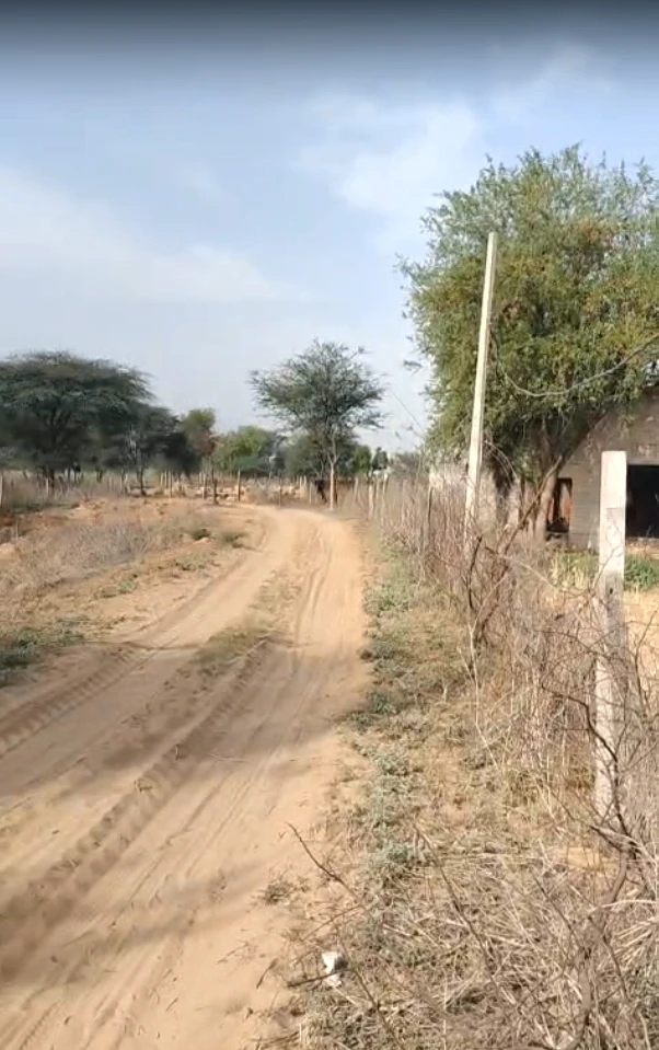 CGW4+QR Malikpur, Rajasthan, India