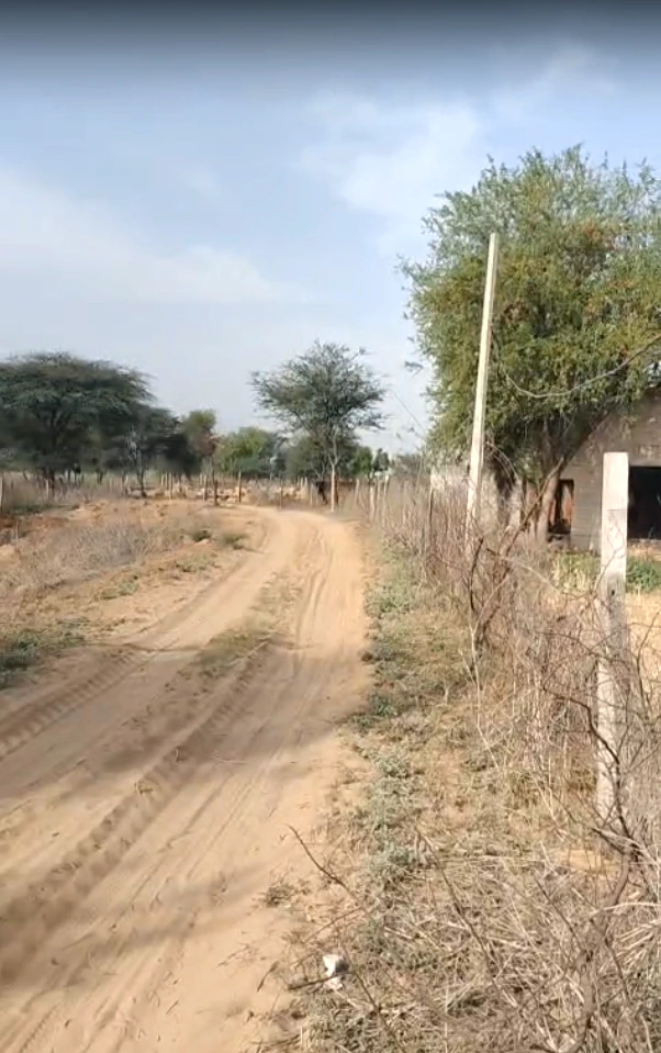 CGW4+QR Malikpur, Rajasthan, India