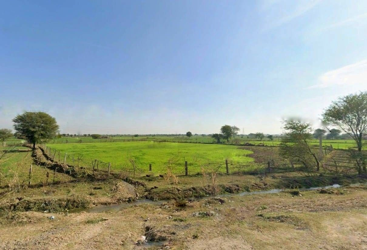 HX55+87 Jaisinghpura, Rajasthan, India