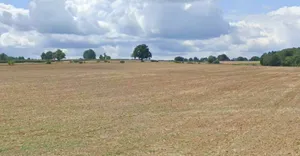 Chargaon, Madhya Pradesh 464668, India preview 2