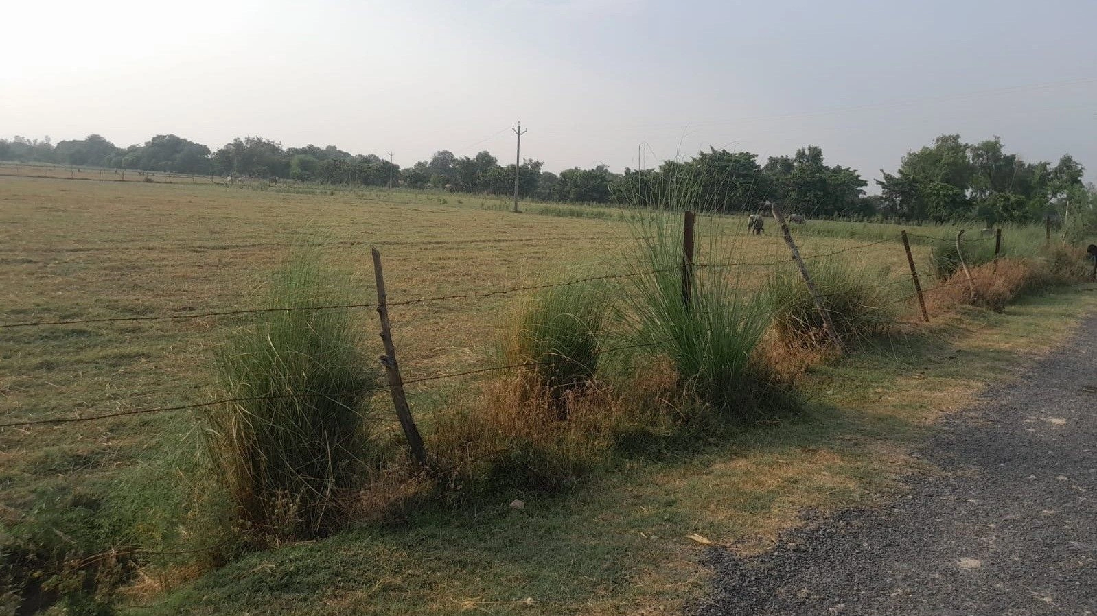 M6R3+4F Mohtashimpur, Uttar Pradesh, India