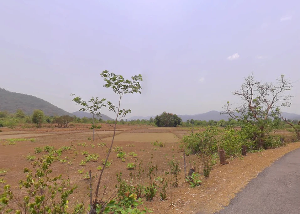 Daspalla, Odisha, India