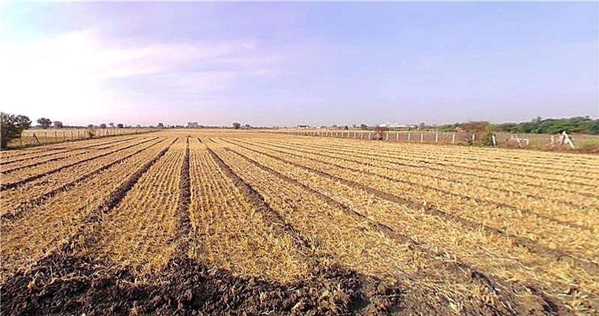 Radhanpur, Gujarat 385340, India
