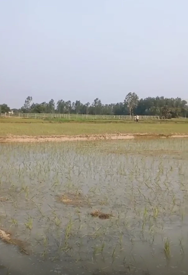 Bichhiya, Unnao, Uttar Pradesh, India