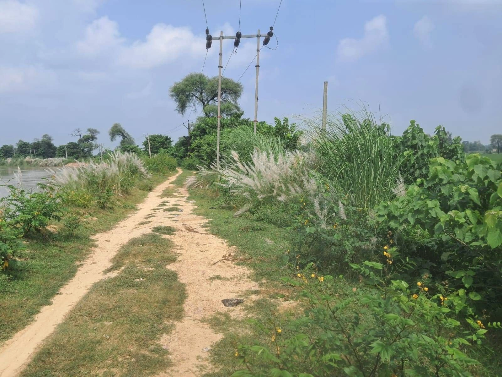 M6R3+3J Mohtashimpur, Ayodhya, Uttar Pradesh, India