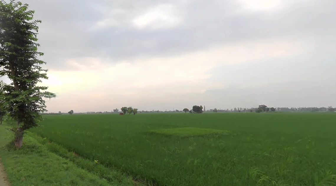 FH67+7QR, Bhadak, Punjab 140402, India