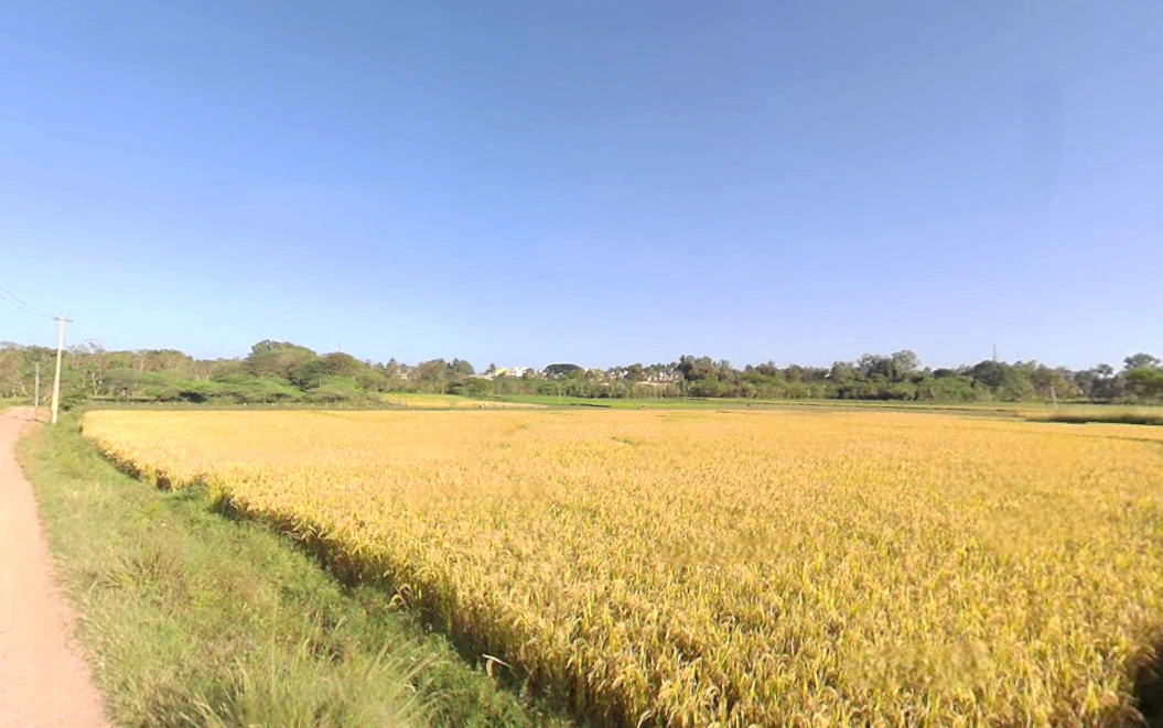 Hunsur, Karnataka, India