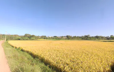 Hunsur, Karnataka, India preview 2