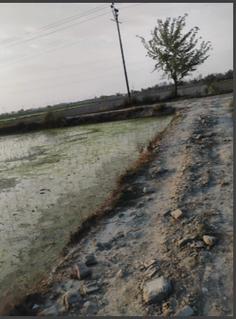 Q4W5+RM Garh Mukteshwar, Uttar Pradesh, India