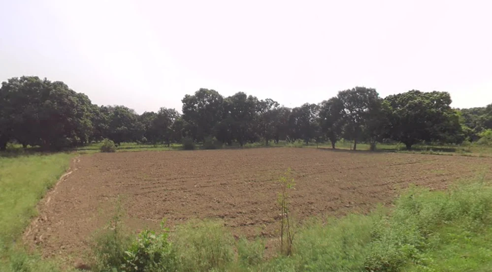 Siyana, Uttar Pradesh 203412, India