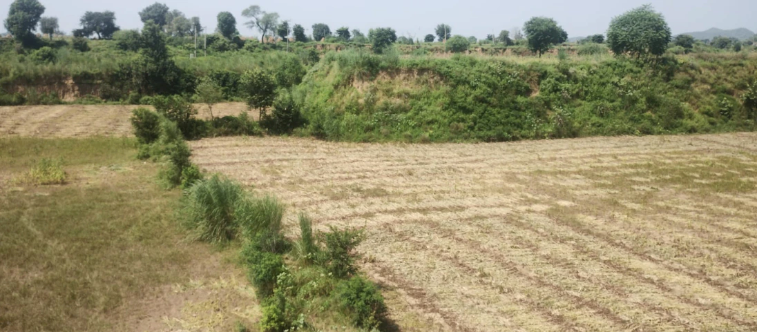 Sapror, Punjab, India