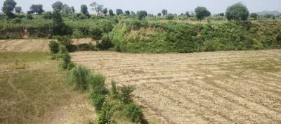 Sapror, Punjab, India preview 2