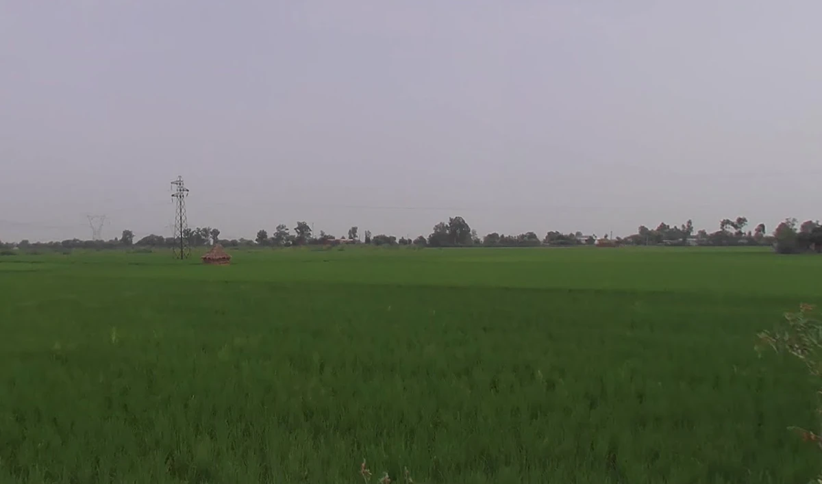 Mandkola, Haryana 121103, India