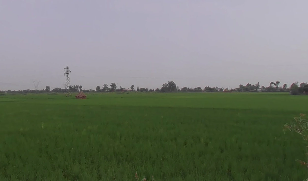 Mandkola, Haryana 121103, India