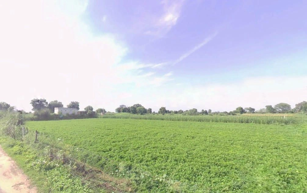 Manpura, Rajasthan 331023, India