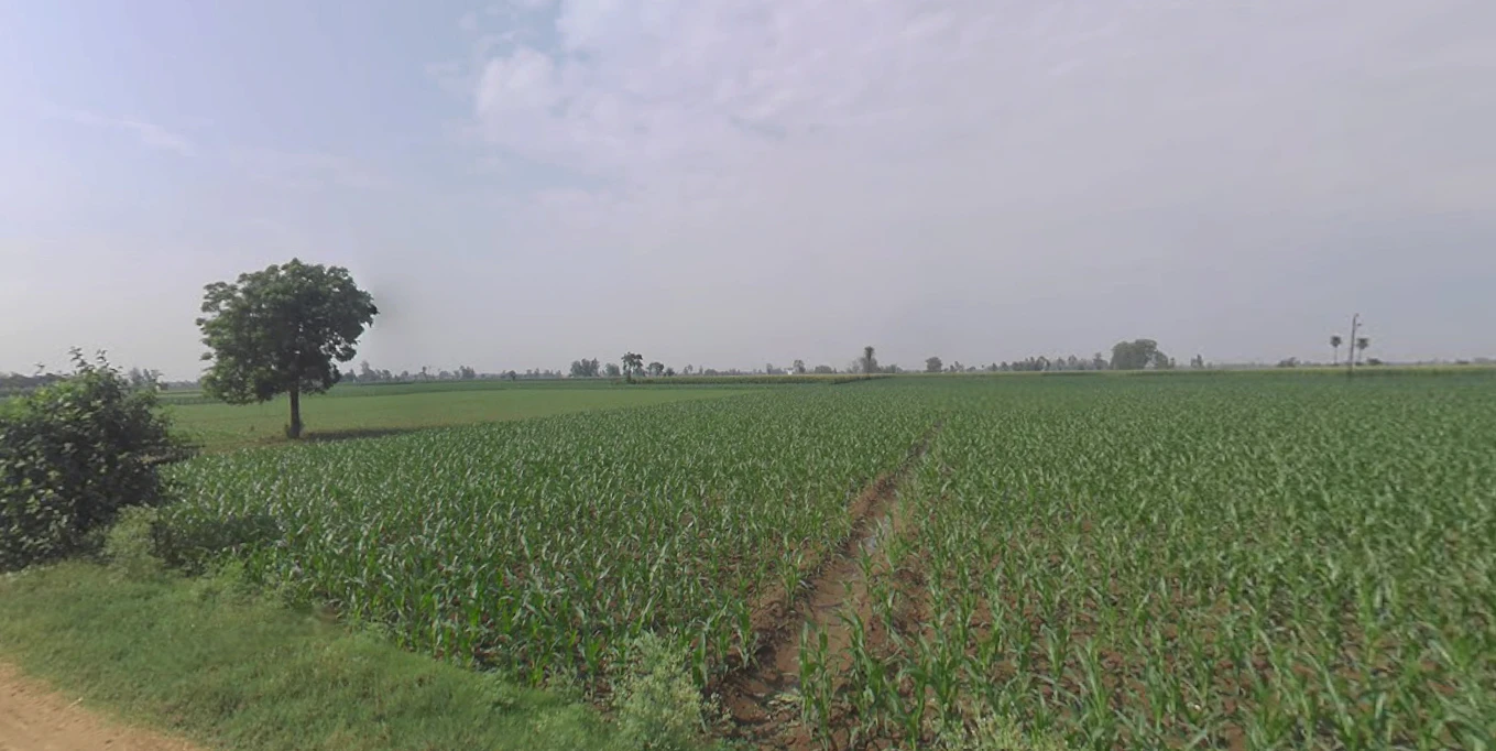 Khurja, Uttar Pradesh 203131, India