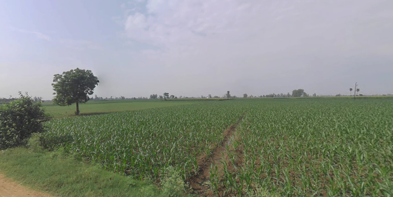 Khurja, Uttar Pradesh 203131, India