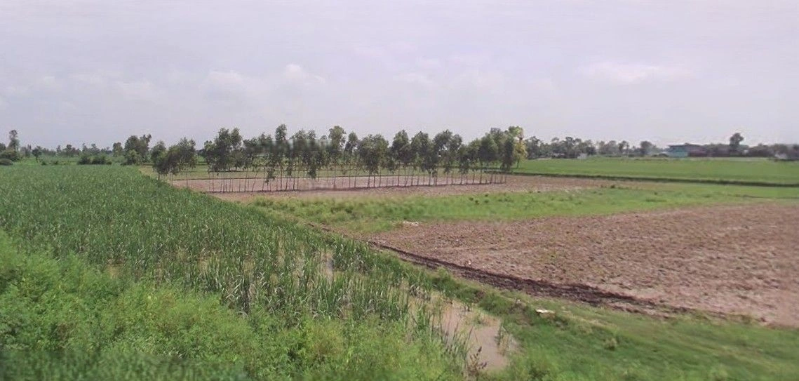 Jansath, Uttar Pradesh 251314, India