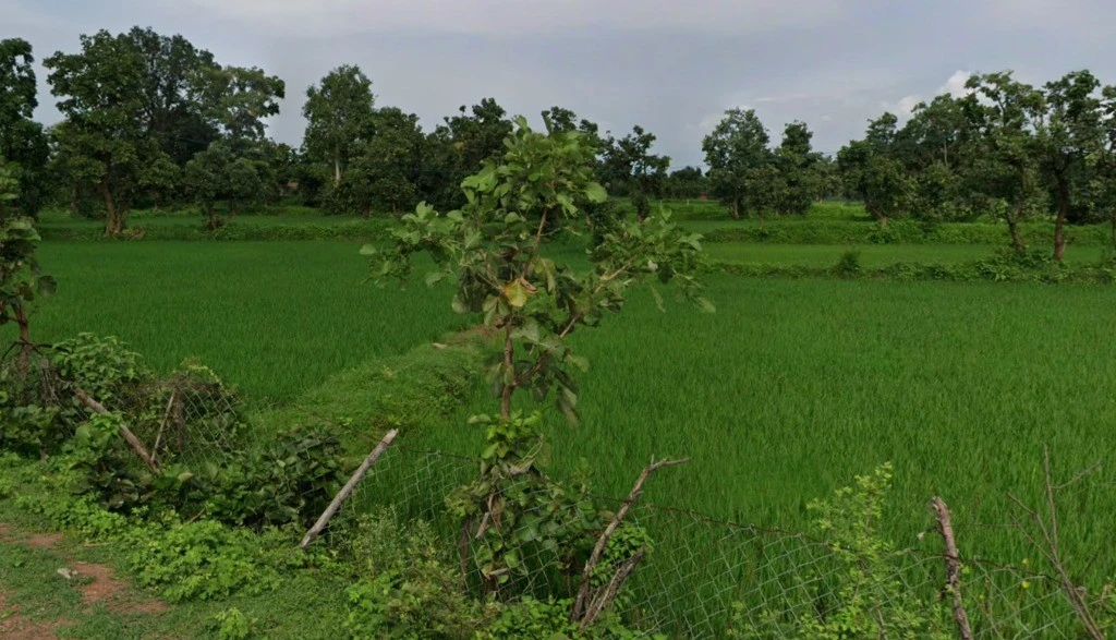 Marwahi, Chhattisgarh 495118, India