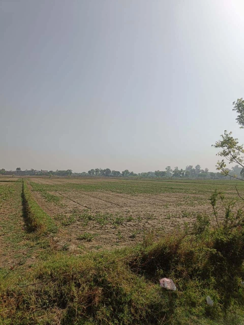 Ajhai Kalan, Uttar Pradesh 281406, India