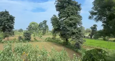 100, Jabalpur, Sihora, Madhya Pradesh 483225, India preview 3