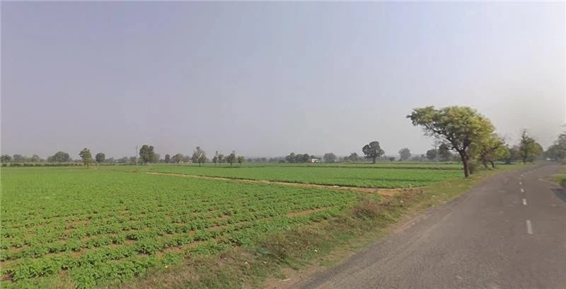 F8JP+8M Vanthli, Gujarat, India