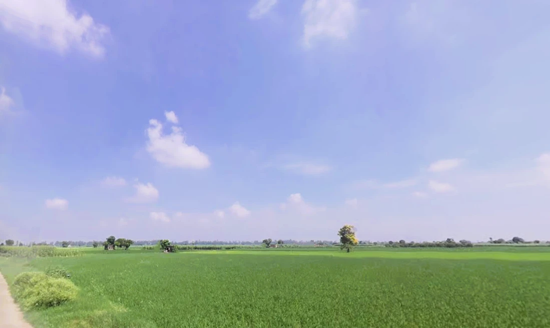 Pai, Haryana 136043, India