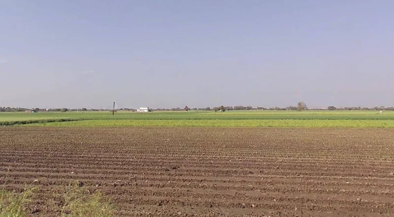 Sankheda, Madhya Pradesh 461111, India preview 3