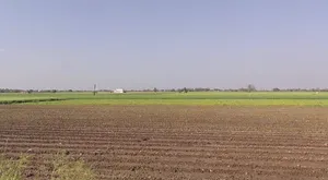 Sankheda, Madhya Pradesh 461111, India preview 3