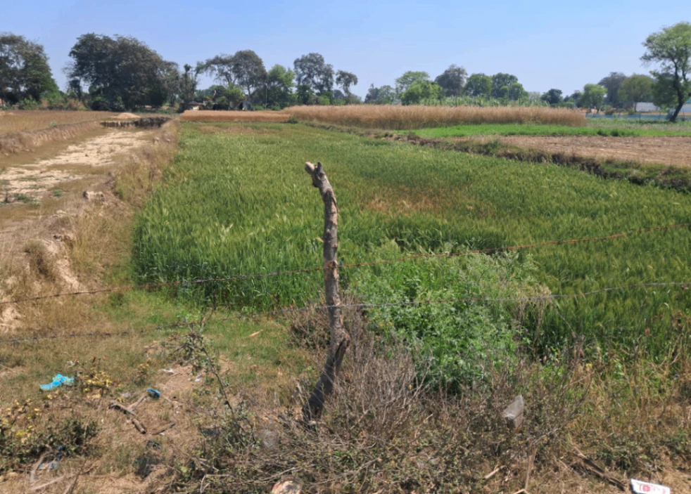 Balachaur, Punjab 144521, India
