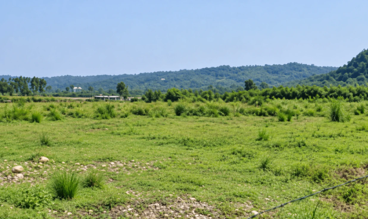 8HPX+WV4, Saharanpur, Rehna, Uttar Pradesh, India