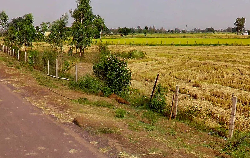 Samesar, Chhattisgarh 491337, India preview 3