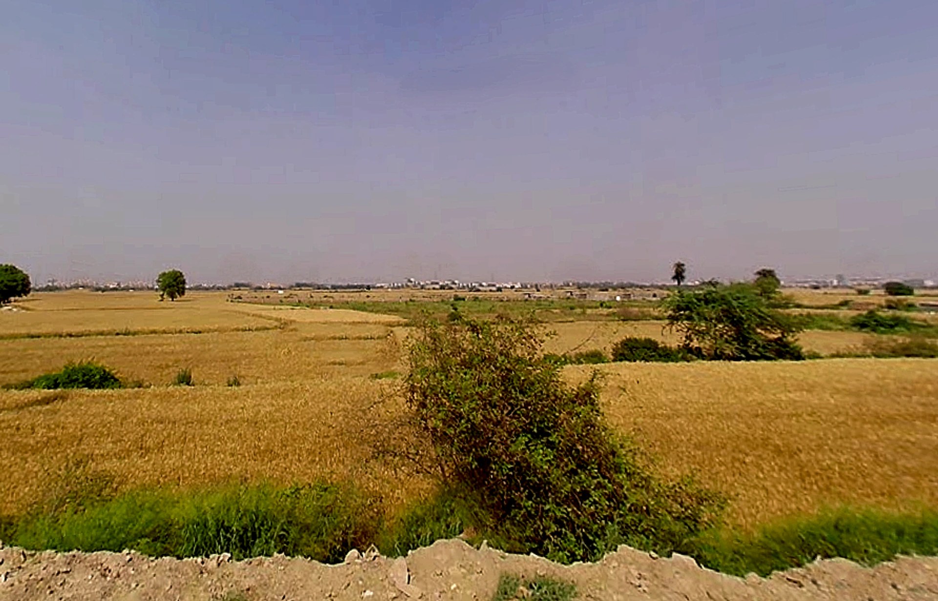 Sector 146, Noida, Uttar Pradesh 201306, India