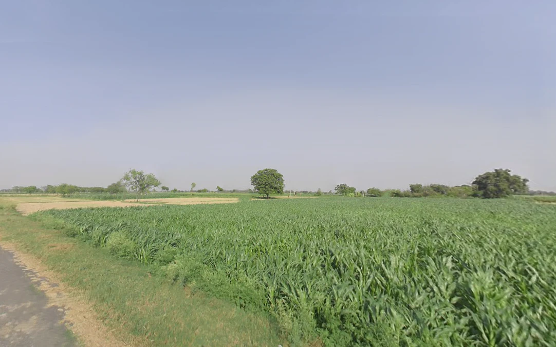 Dataganj, Uttar Pradesh 243635, India
