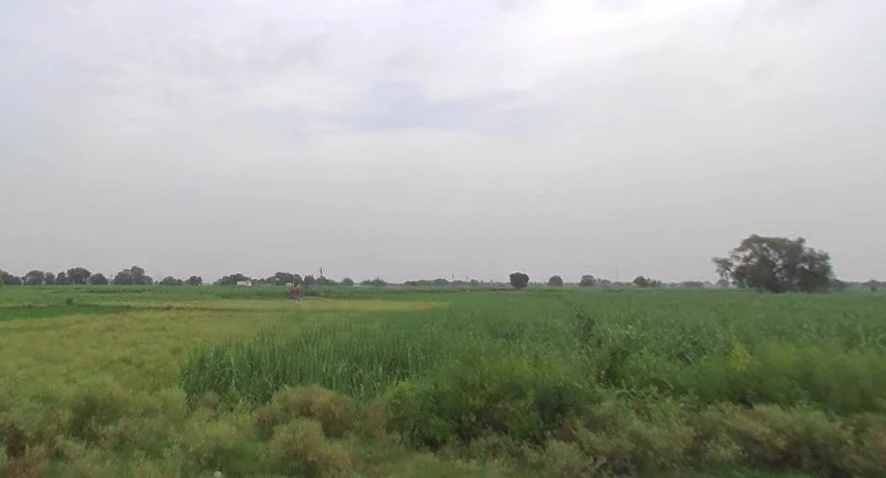 Puttha Rd, Rithani West, Phase-II, Industrial Area, Mohkam Pur, Meerut, Uttar Pradesh, India