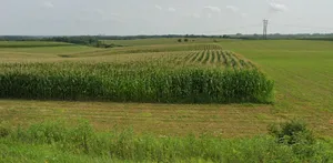 Maheshwar, Madhya Pradesh, India preview 3