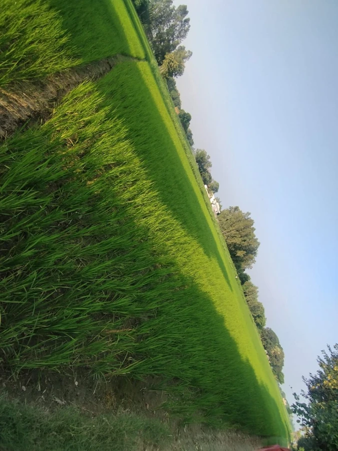 Pilibhit, Uttar Pradesh 262001, India