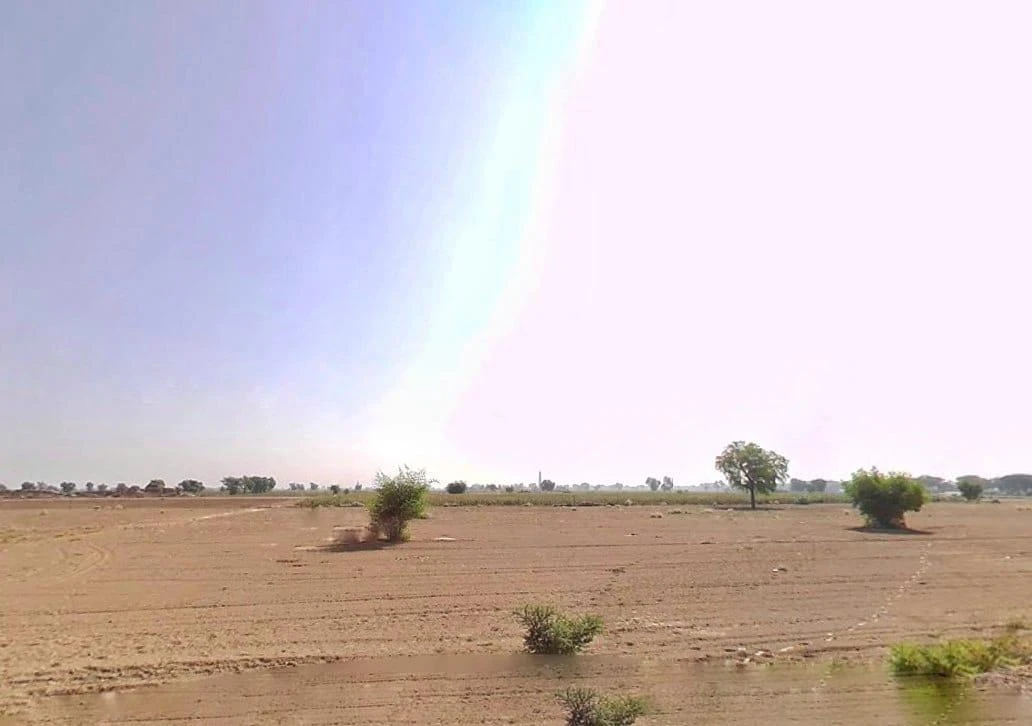 Pakka Saharana, Rajasthan 335512, India