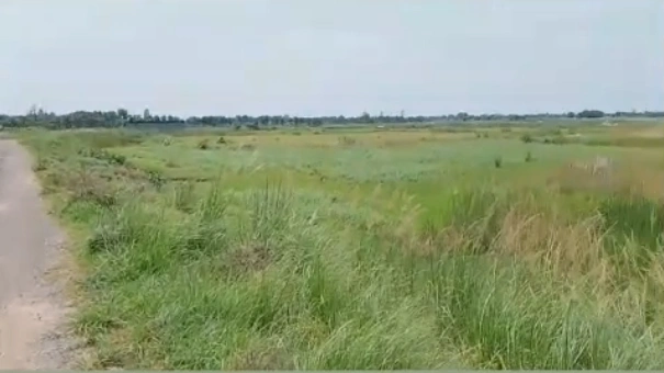 Karchana, Uttar Pradesh 212301, India